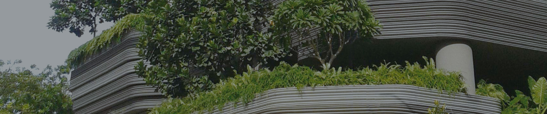 NG����-�Ƽ����ܳ���,�����ָ���Ȥ!